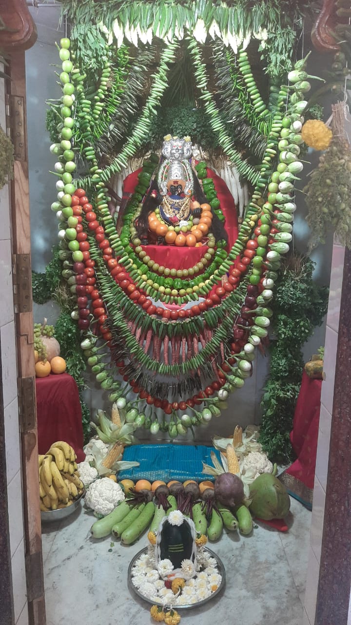 शाकंभरी रूपातील पुजा